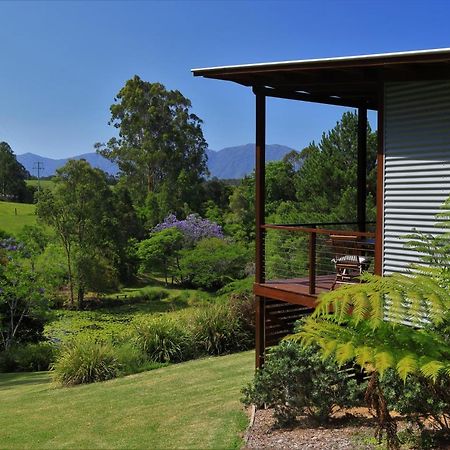 Lilypad Luxury Cabins Bellingen Buitenkant foto