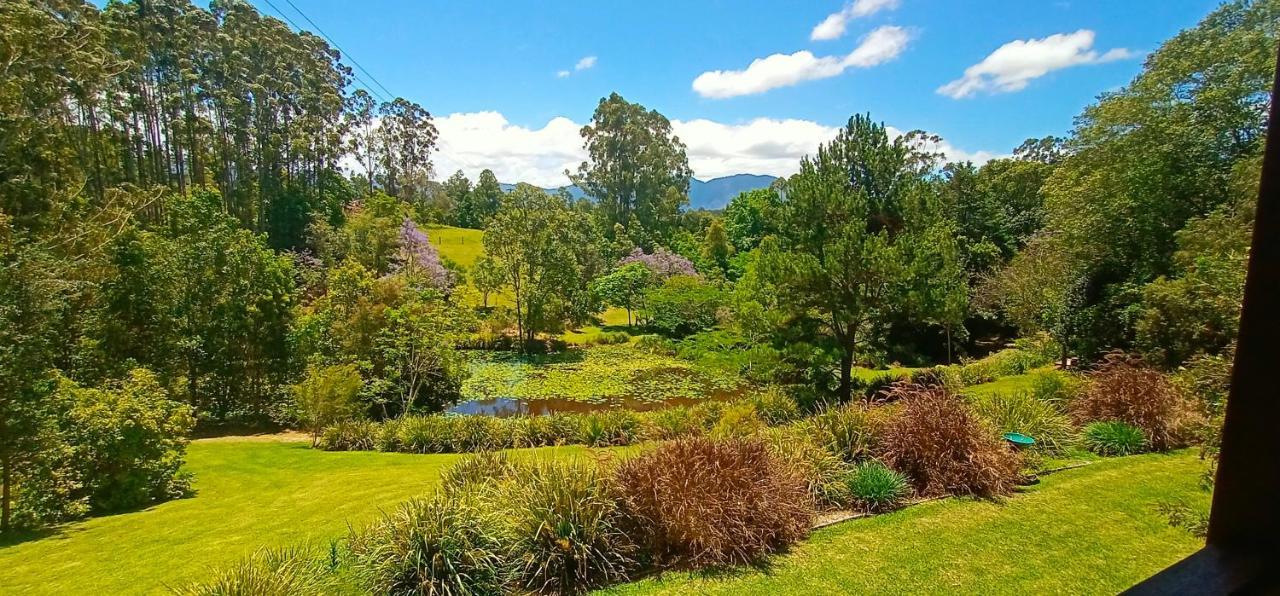 Lilypad Luxury Cabins Bellingen Buitenkant foto