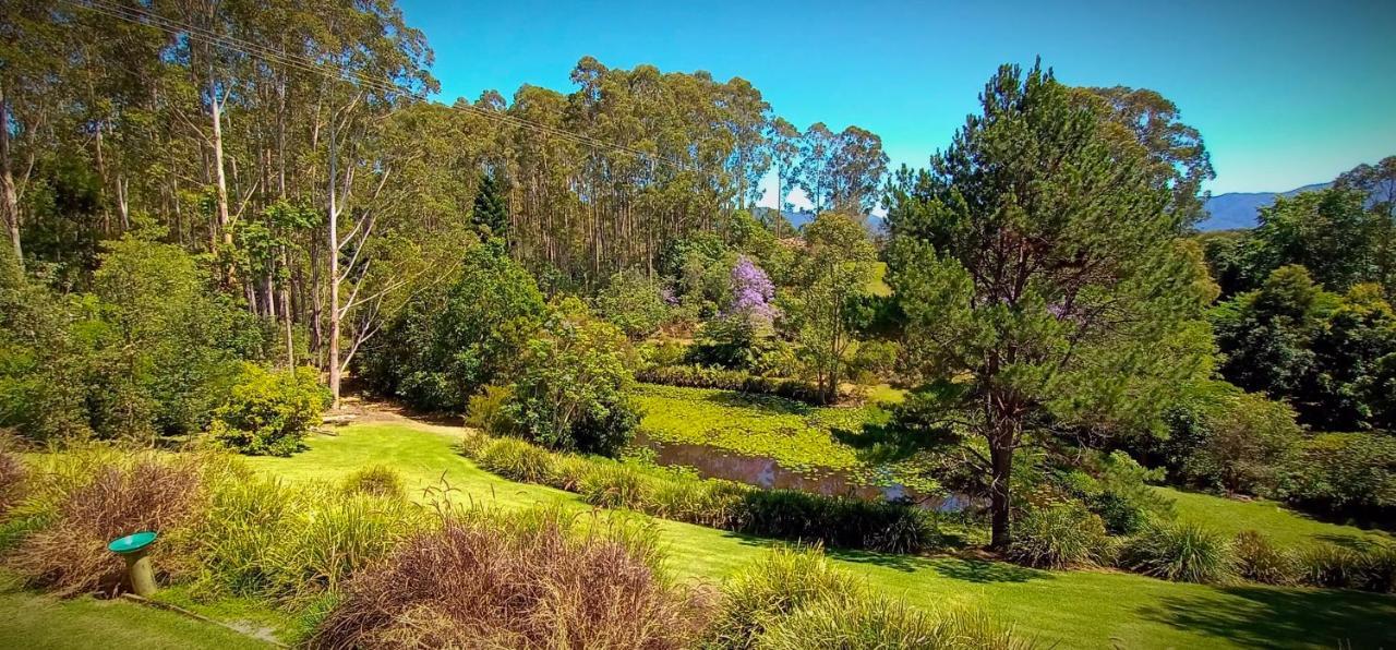 Lilypad Luxury Cabins Bellingen Buitenkant foto