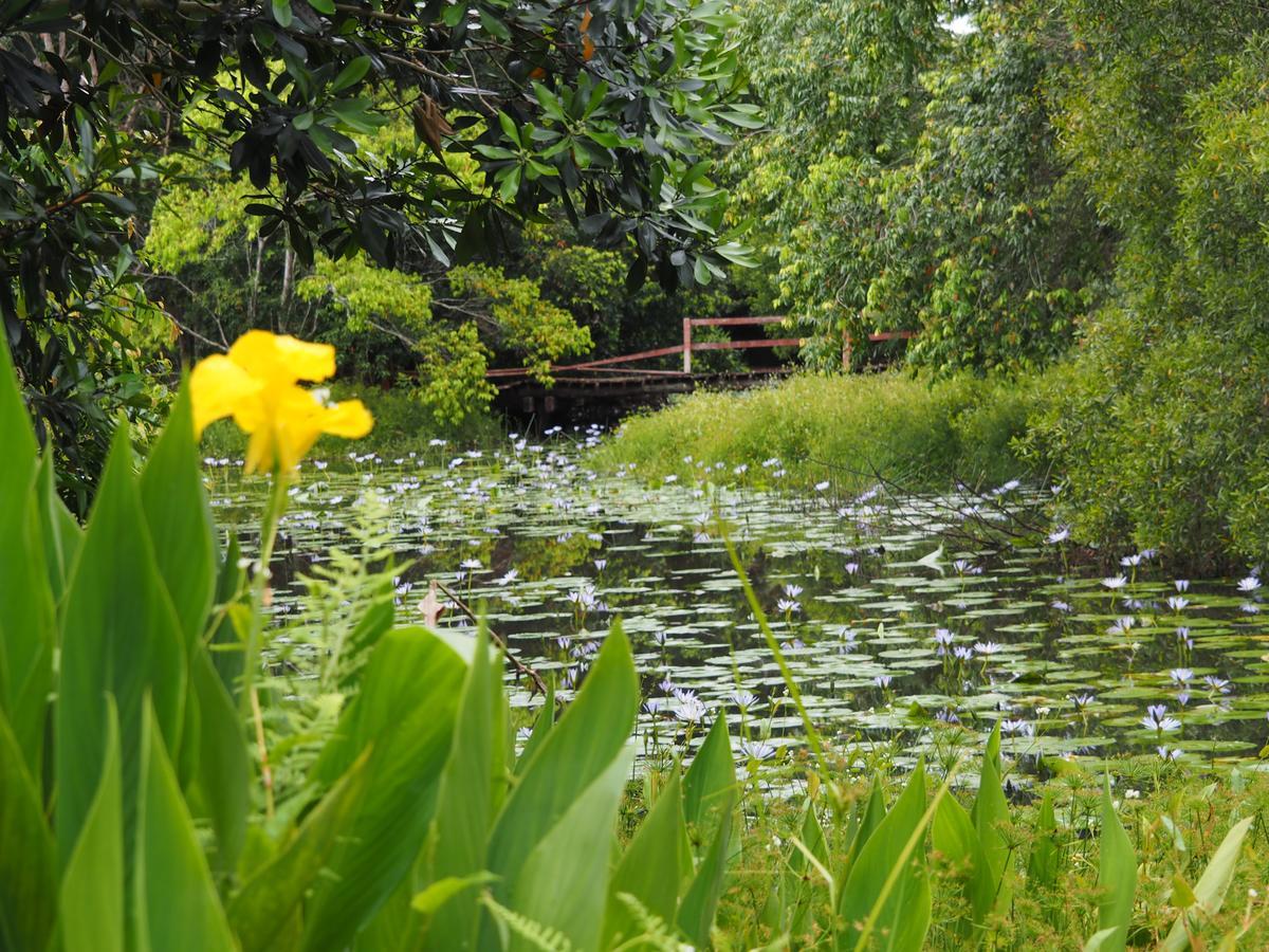 Lilypad Luxury Cabins Bellingen Buitenkant foto